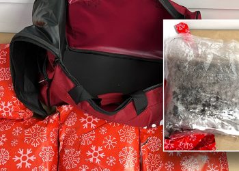 Žena uhićena jer je pokušala prokrijumčariti 22 kilograma meta zamotanog kao božićne darove u ručnoj torbi