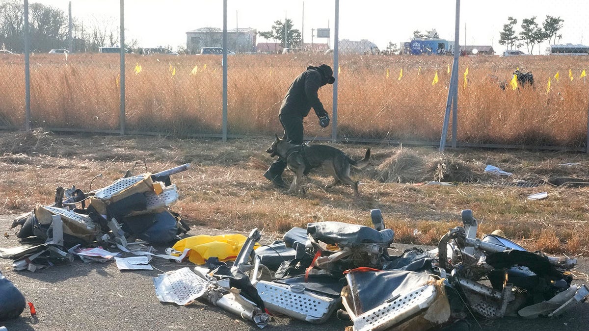 Krhotine sudara u Južnoj Koreji dok policajac radi sa psom