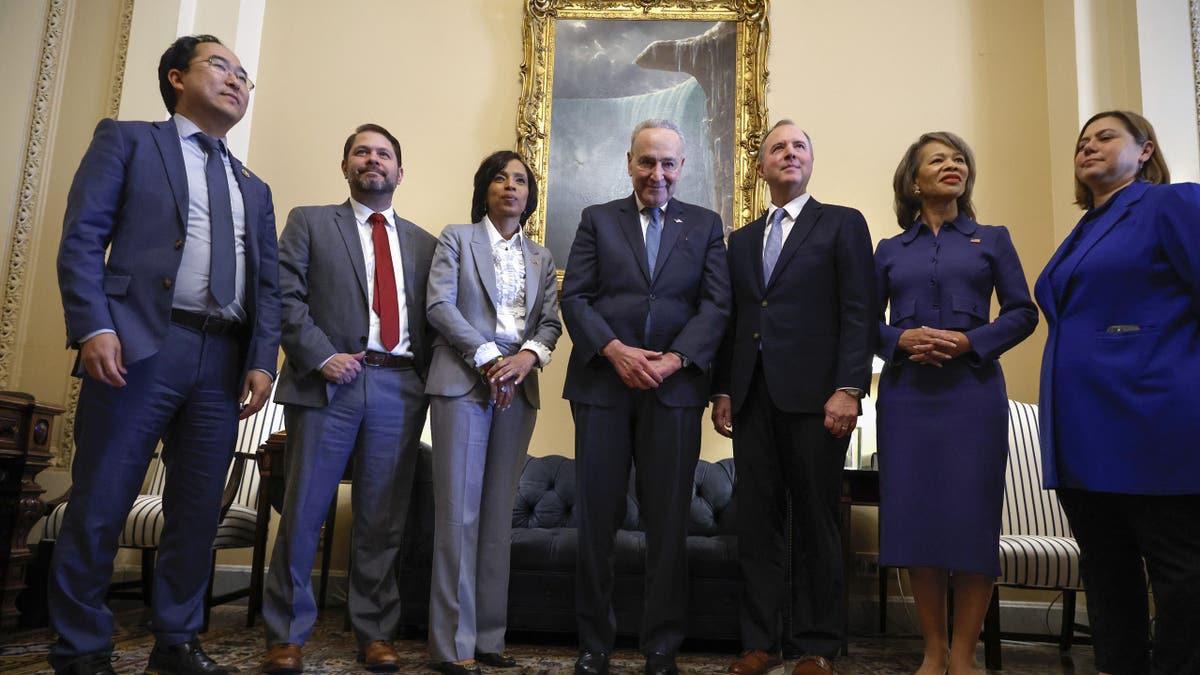 Schumer s Andyjem Kimom i drugim izabranim demokratskim senatorima