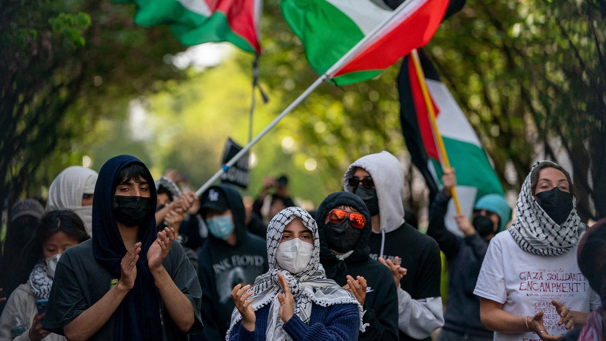 pro palestinski protest