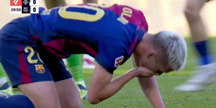 ZUBIĆ DANI Pogledajte kako su Olmu izbili zub, tražio ga je po travnjaku: ‘Našao ga je, bacio pa opet tražio’ | NACIONAL.HR