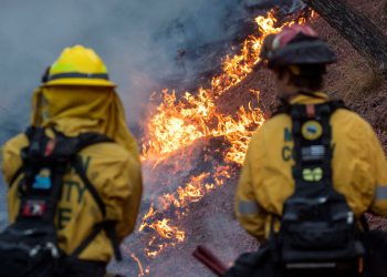 Gledajte uživo: dužnosnici okruga Los Angeles daju novosti o šumskim požarima dok broj žrtava raste