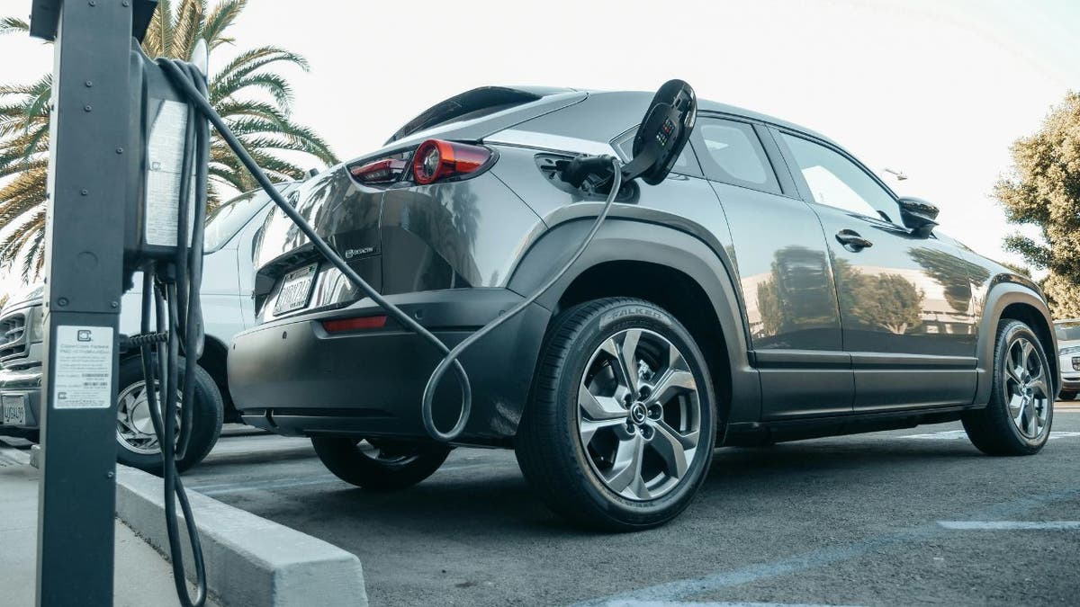 Ev raj ili punjenje pakla? Alarmantna električna automobilska tajna izložena