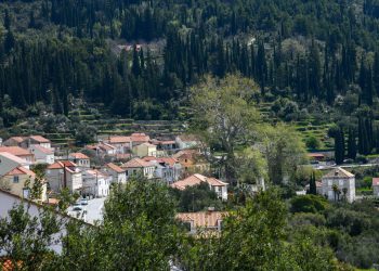 U župi sv. Vida u Trstenom uspješno provedena Božićna akcija prikupljanja pomoći