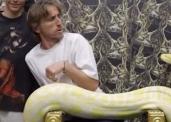 KAKVA SCENA Modrić se slikao s pitonom: Bilo je sve u redu dok nije krenuo prema njemu | NACIONAL.HR