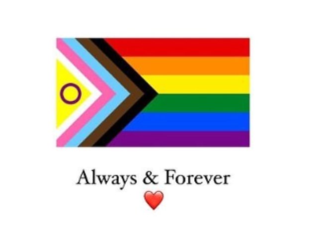 Louise je odgovorila na svoju odluku da odustane od turneje dijeljenjem Progress Pride Flag na svojim Instagram Stories, napisavši: 'Uvijek i zauvijek'