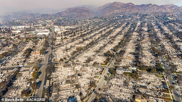 Pogled iz zraka prikazuje požarnu devastaciju Pacific Palisades na kojoj se vide kilometri pepela i razaranja