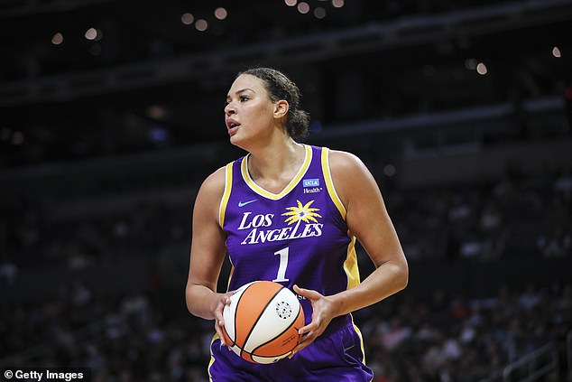 Cambage je igrao za Tulsa Shock, Dallas Wings, Las Vegas Aces i Los Angeles Sparkse.