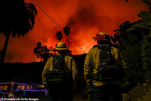 Hollywood Hills gorio je u plamenu i Reynolds je morala djelovati brzo kako bi pomogla svojoj prijateljici udaljenoj samo nekoliko minuta u kanjonu Runyon, rekla je za 9news.com.au