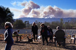 Stanovnici i njihovi psi gledaju ispred sebe dok se dim od Palisades Fire diže iznad grebena u dijelu Encino u Los Angelesu u Kaliforniji u subotu. Požar je još uvijek samo 14 posto lokaliziran