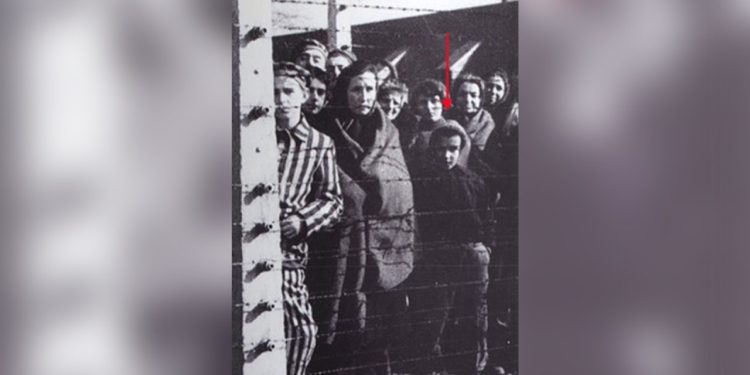 Auschwitz 80 years since liberation: Ryszard Horowitz’s story of survival and making the American Dream