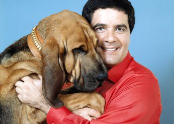 Australski novinar i TV voditelj Simon Townsend preminuo je u 79