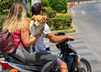 Auto Klub – Nema kacige