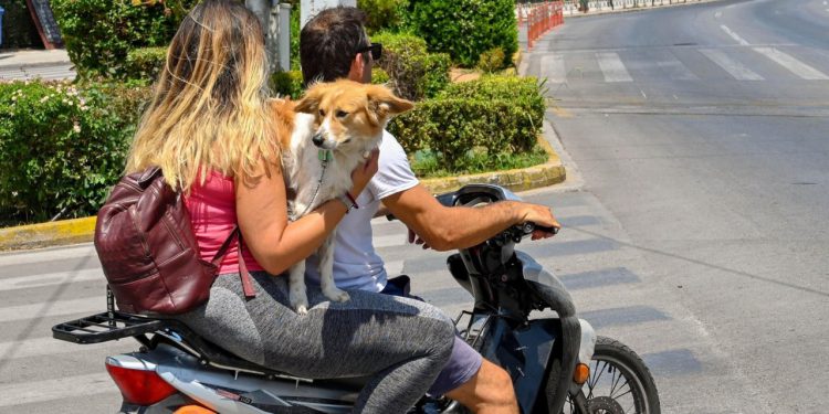 Auto Klub – Nema kacige