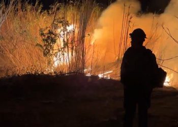 Ažuriranja požara u LA-u: ‘Kritični’ rizik od požara ostaje dok se vjetrovi vraćaju prijeteći novim požarima i razaranjima