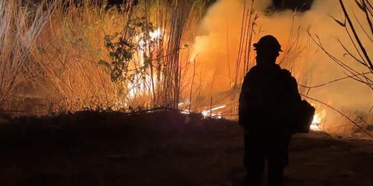 Ažuriranja požara u LA-u: ‘Kritični’ rizik od požara ostaje dok se vjetrovi vraćaju prijeteći novim požarima i razaranjima