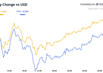 BTC Lov na povoljne ponude suočava se s ključnim testom izvješća o poslovima