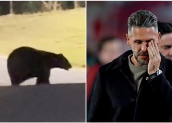 Bear ulazi u Demichelisovu kuću: reakcija obitelji