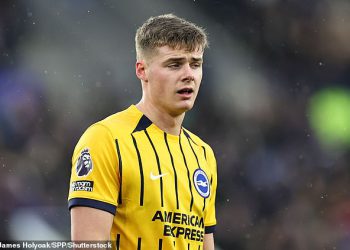 Brighton Hold razgovori o potezu za Evana Fergusona-kao suparnici Premier lige, uključujući Tottenham i Bournemouth, drže kartice na nadolazećem napadaču