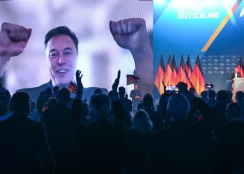 ‘Budućnost Europe’ ovisi o njemačkim prijevremenim izborima – Musk — RT World News