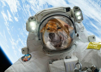 DOGE bi mogao porasti za 30% jer razina raspoloženja podržava kupnju