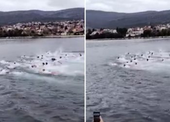 Dalmatinski Srbi plivali za časni krst u Karinskom moru