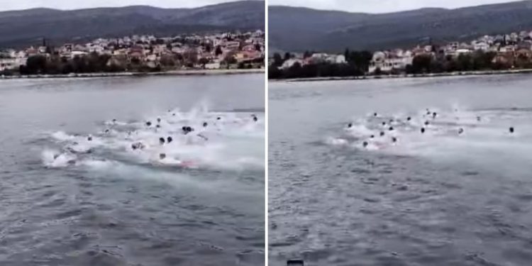 Dalmatinski Srbi plivali za časni krst u Karinskom moru