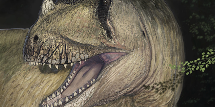 Divovski rogati dinosaur otkriven u Egiptu nakon što su fosili uništeni u Drugom svjetskom ratu