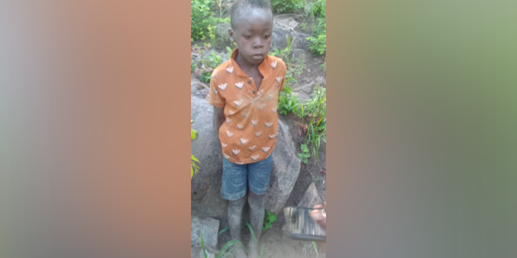 Dječak preživi gotovo tjedan dana u afričkom parku divljači uz lavove i slonove