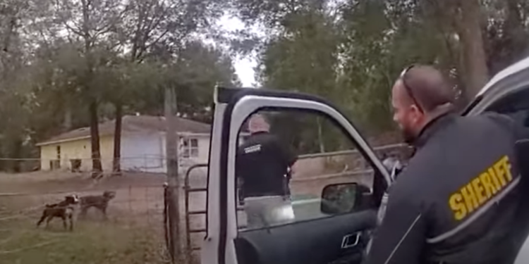 Dječaka, 8, nasmrt su izmrcvarili psi kojima je stalno bilo dopušteno da lutaju ulicama, kažu policajci