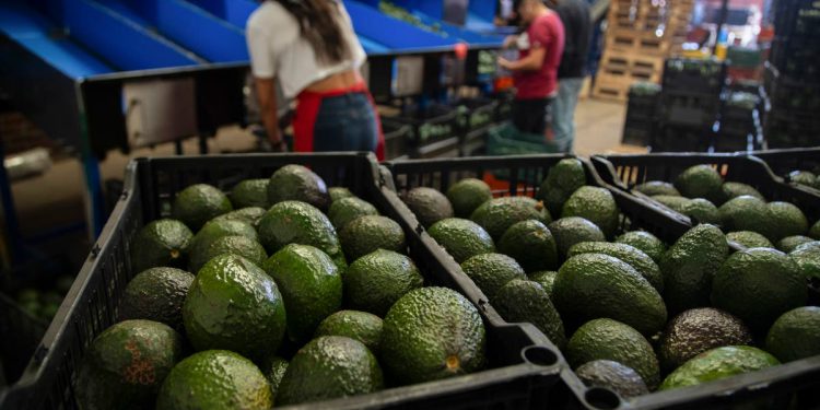 Donald Trump prijeti meksičkoj hrani