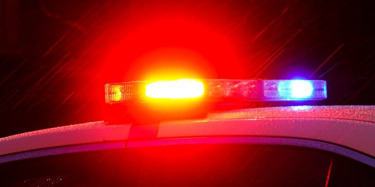 Dvojac je nasilno ušao u dom 97-godišnje bake i pretukao je na smrt kad im je rekla da odu, kažu policajci