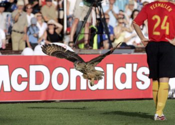 Falconiere Lazio, osam priča o nogometu i pticama: orlovi, sove, vrane, papige