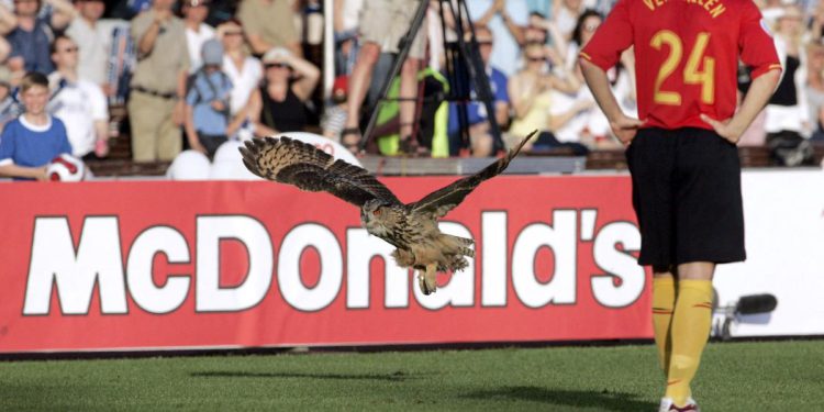 Falconiere Lazio, osam priča o nogometu i pticama: orlovi, sove, vrane, papige