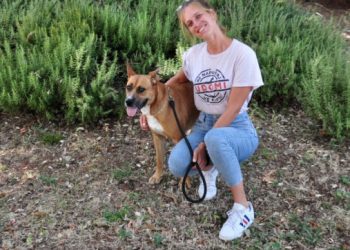 Franković pohvalio djelatnike Azila, otkrio mračne detalje Žarkovice: To je bio scenarij katastrofe, a Ana Ivelja se jedina uhvatila problema