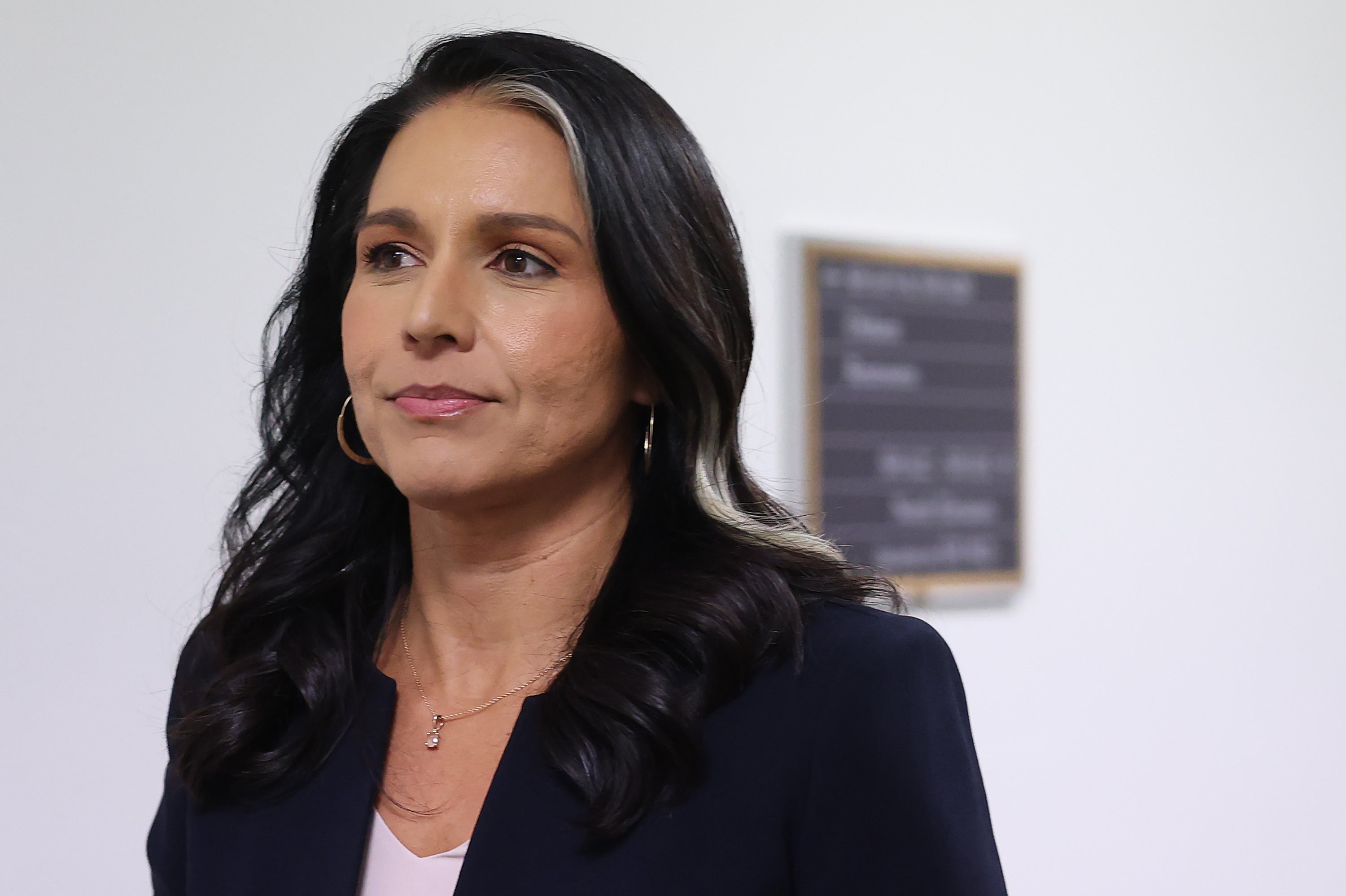 Tulsi Gabbard was a Fox News contributor and occasional host before President-elect Donald Trump picked her to be his director of national intelligence.