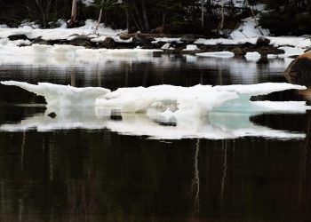 Godina 2024. prešla ključni prag zatopljenja od 1,5 stupnjeva