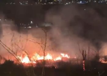 Gorjelo na Kamenu, vatrogasci brzo stavili vatru pod kontrolu