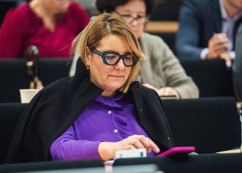 HDZ-ovka iz Dalmacije u saboru ispričala vic: “Prelaze slon i miš po mostu…”