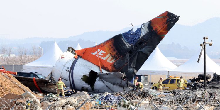 JUŽNA KOREJA Perje i krv pronađeni u oba motora srušenog zrakoplova | NACIONAL.HR