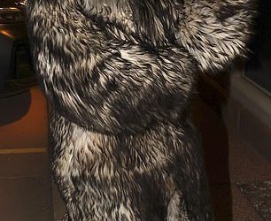 Hailey Bieber obukla se u masivnu bundu od umjetnog krzna za večeru u Aspenu s BFF Kendall Jenner