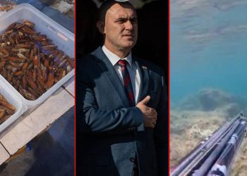 Ima izbore u stranci, može li to pričekati?