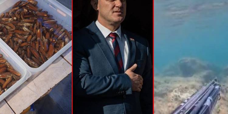 Ima izbore u stranci, može li to pričekati?