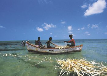 Indija pobija susjeda zbog pucanja na ribare – RT India