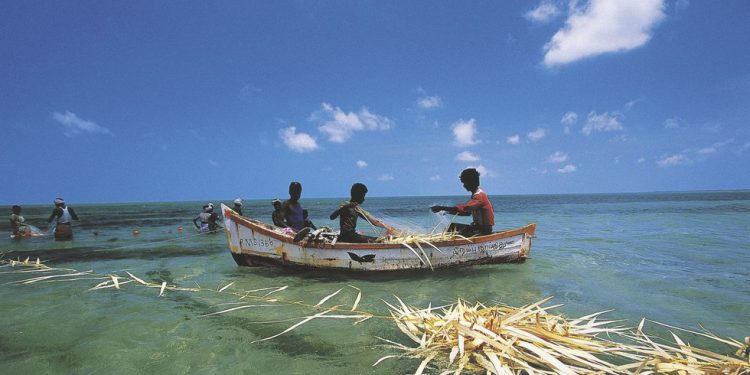 Indija pobija susjeda zbog pucanja na ribare – RT India