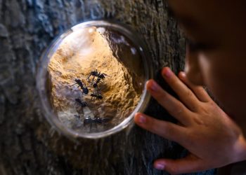 Jubilarna 20. Noć muzeja – “Muzeji – vidljivi i nevidljivi” s Centrom za posjetitelje Skrivena Dalmacija