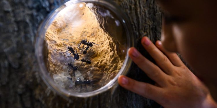 Jubilarna 20. Noć muzeja – “Muzeji – vidljivi i nevidljivi” s Centrom za posjetitelje Skrivena Dalmacija