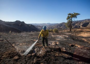 Kalifornijski dužnosnici upozoravaju na rizike od poplava zbog kiše nakon što je Trump dodao uvjete za pomoć u katastrofama LA-a: ažuriranja uživo
