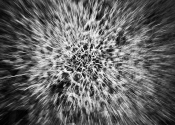 Kripto će doživjeti revoluciju ubrzanjem