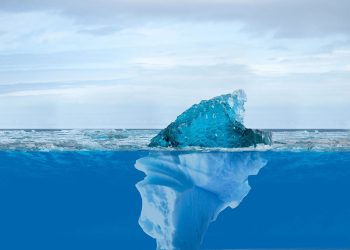 Kupci čekaju ispod medvjeđe površine